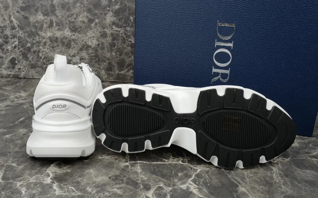 Dior Shoe 